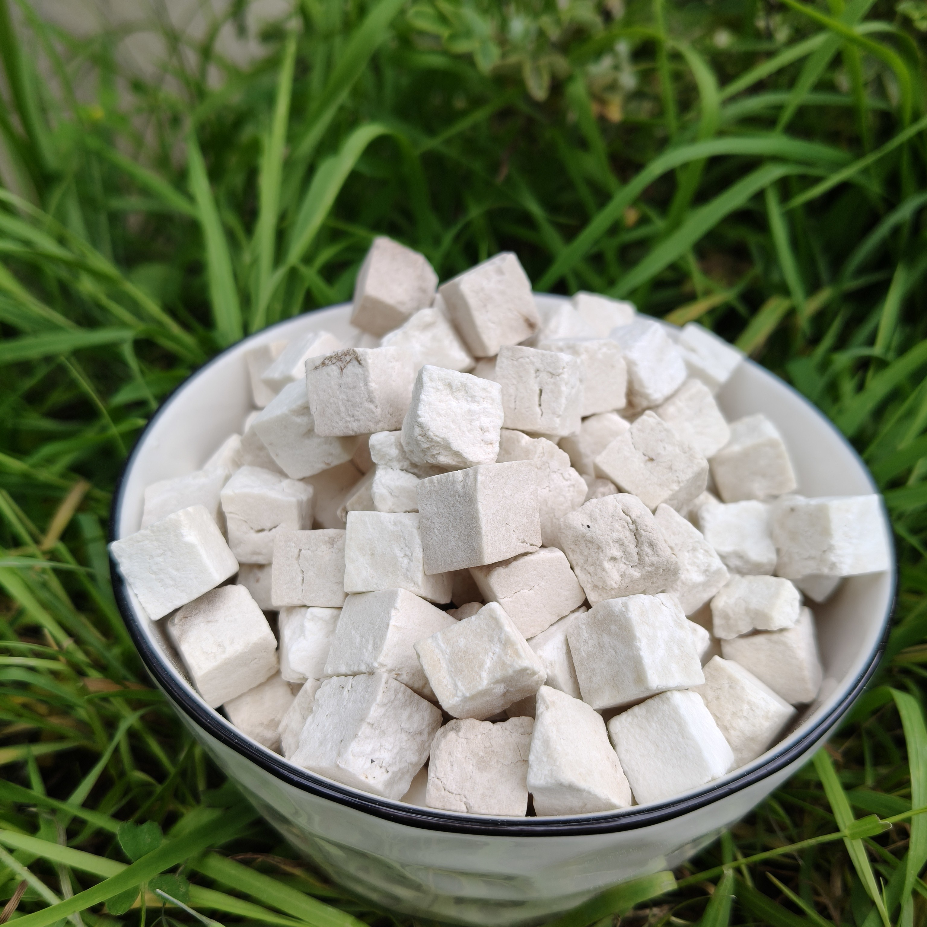 茯苓～野外采挖~250包邮