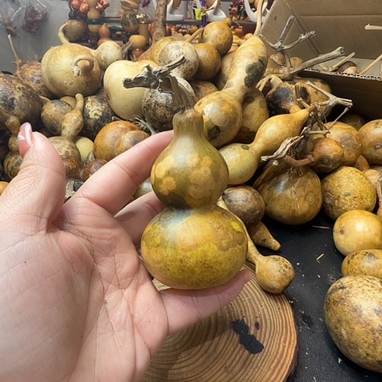 _***@葫芦葫芦葫芦葫芦