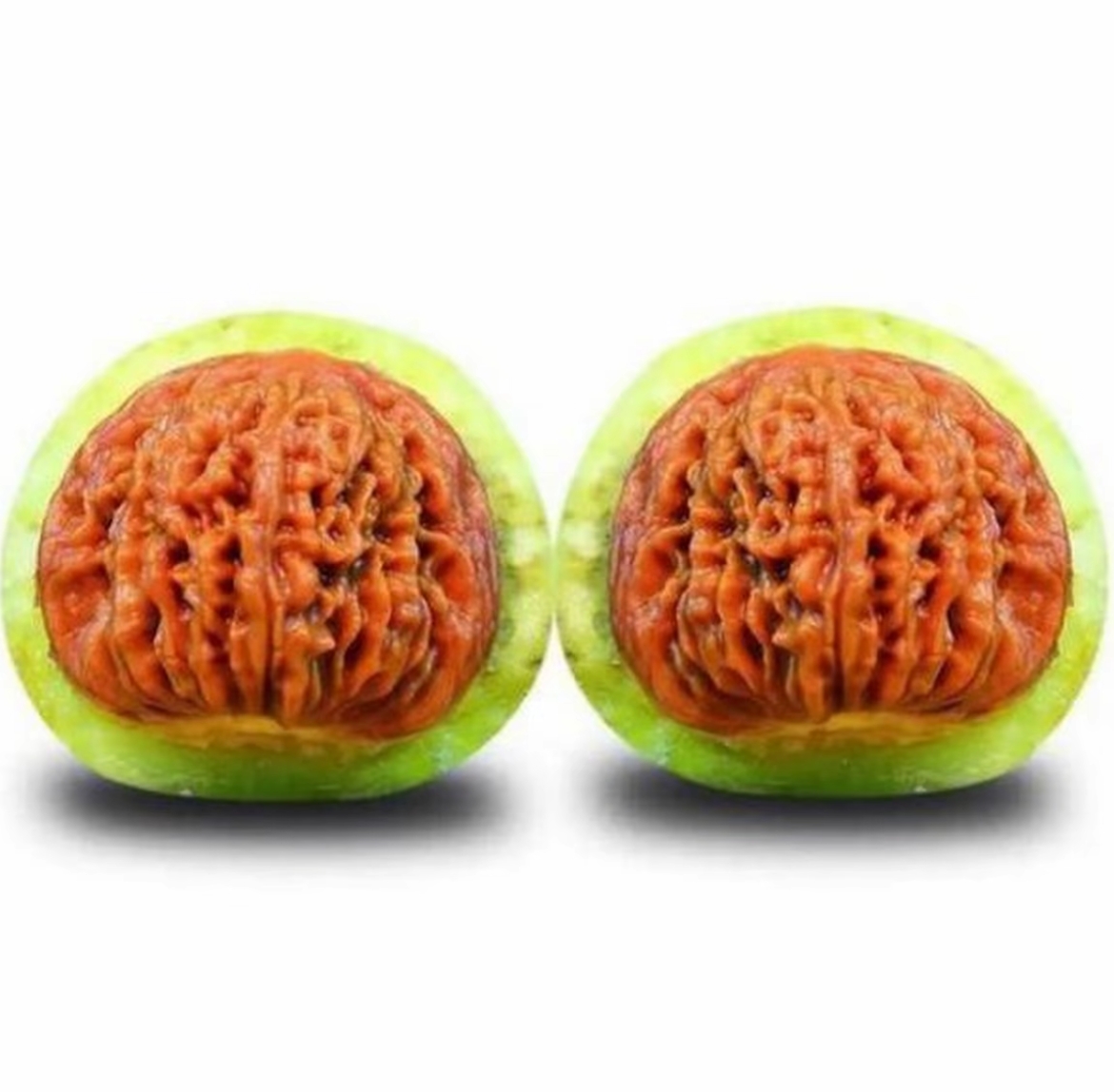 青皮定制链接（不退不换）