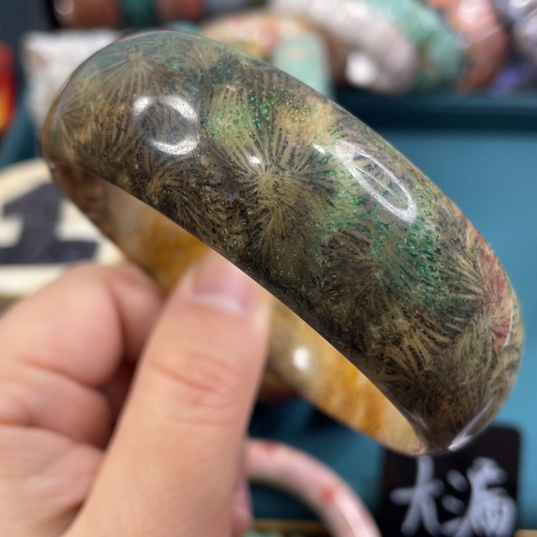 未镶嵌手镯硅化玉