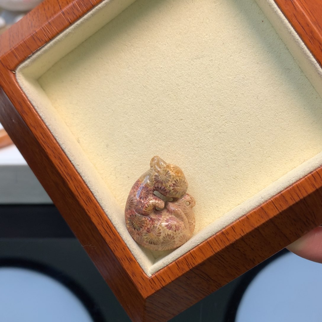 硅化珊瑚（珊瑚玉）颈饰未镶嵌