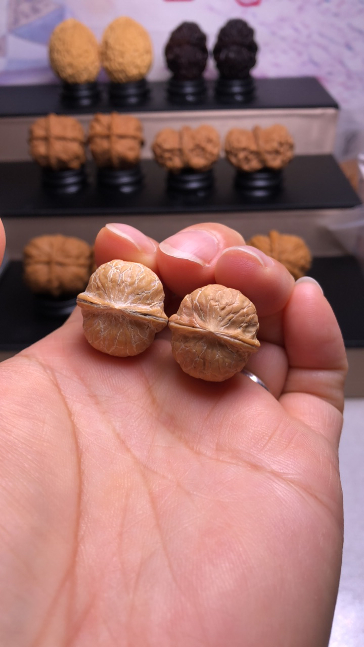 12籽黄金豆打包云南野生铁皮核桃文玩