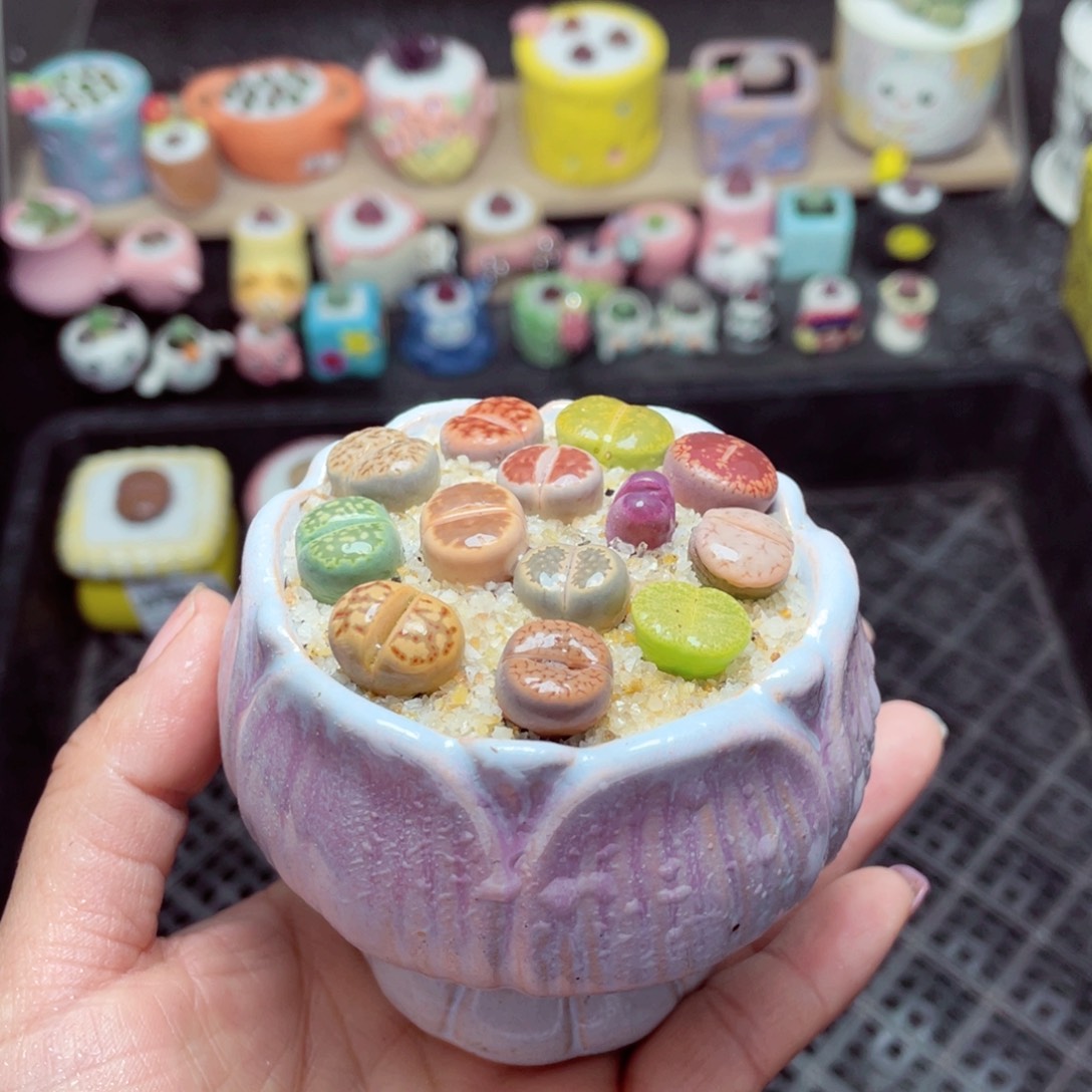 w9047 -零下地区拍保温箱-15支持寄养