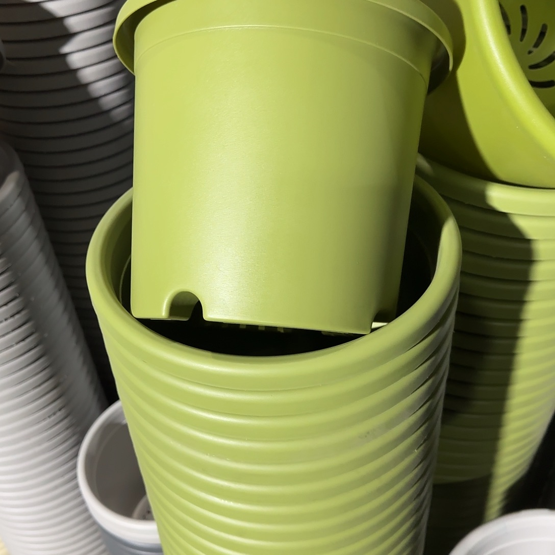 树脂微瑕4号8个无托，果绿