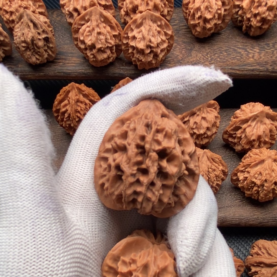 明***臻核桃秦岭野生果鸡心