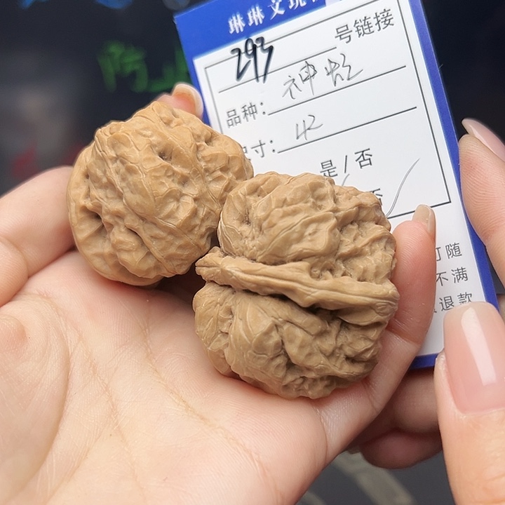 文玩核桃吊坠核桃树293