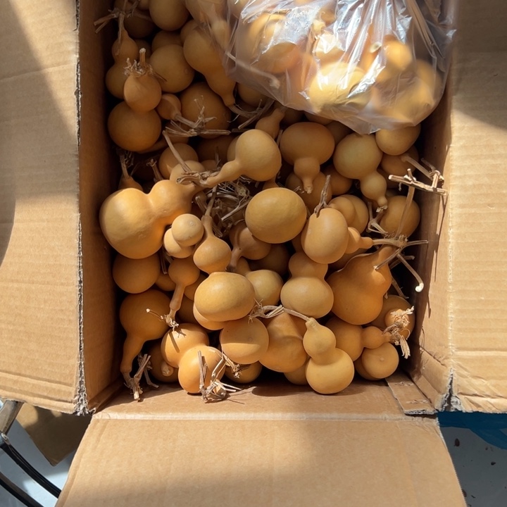 S***e葫芦文玩摆件制品