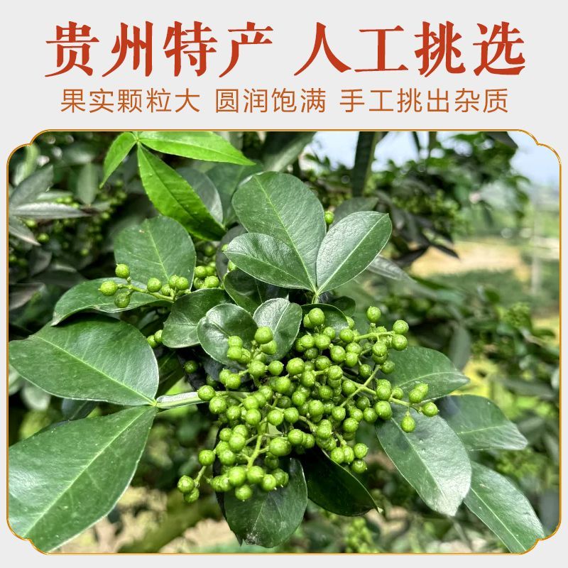 贵州鲜花椒现摘现发 椒麻鲜香 颗粒饱满