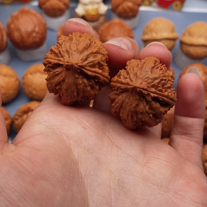 文玩核桃把件蚂蚁粗筋