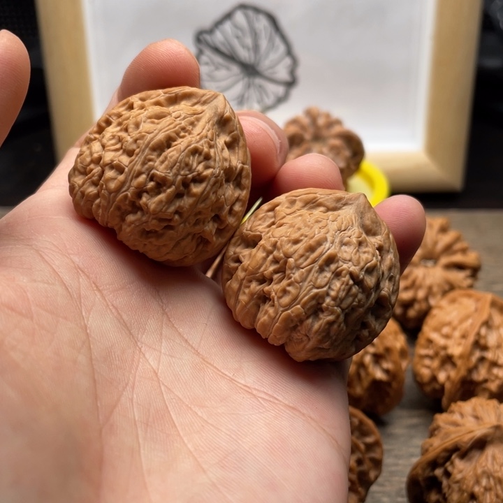 核桃金蝉子文玩核桃