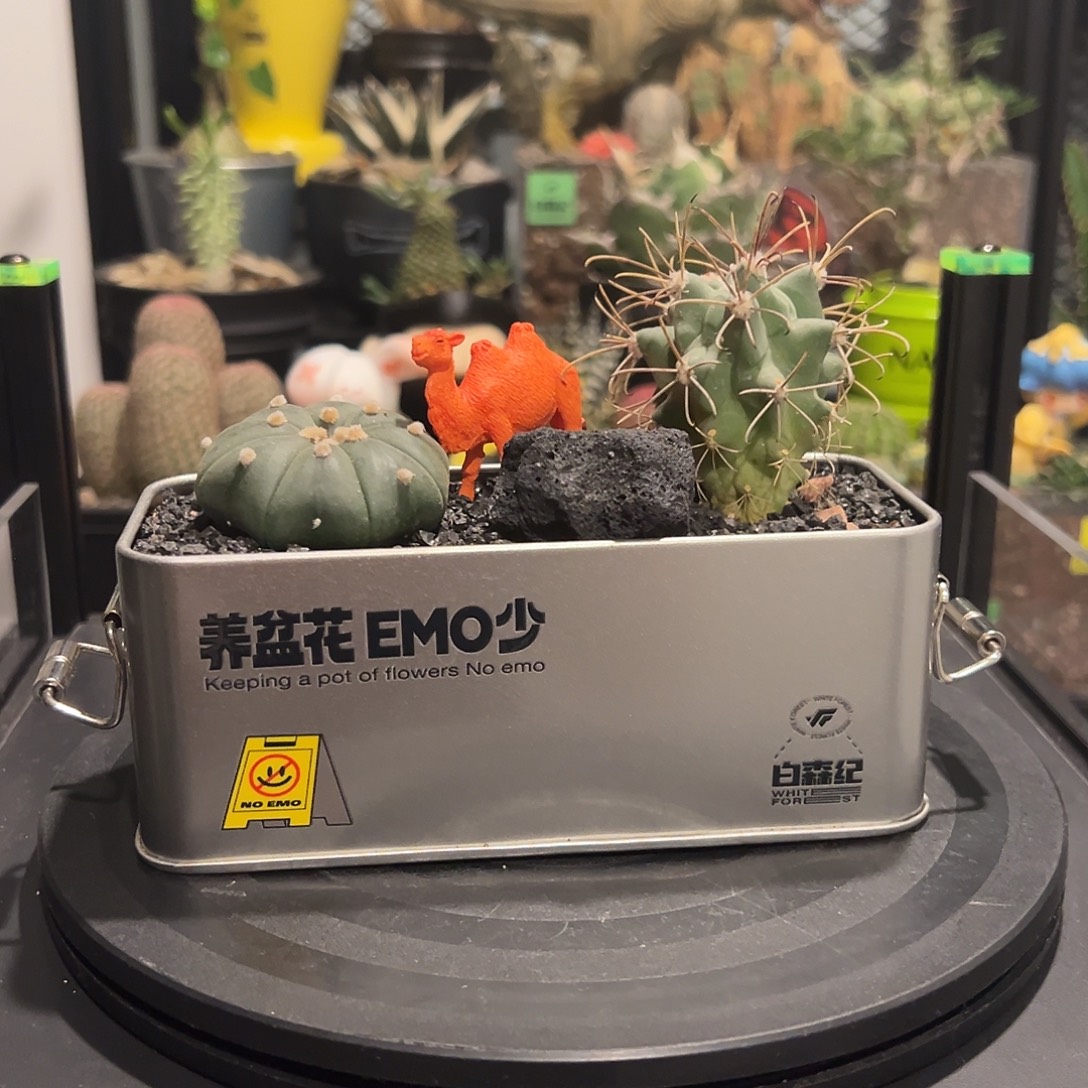 禁止焦虑工业风组合 非偏远满120包顺丰