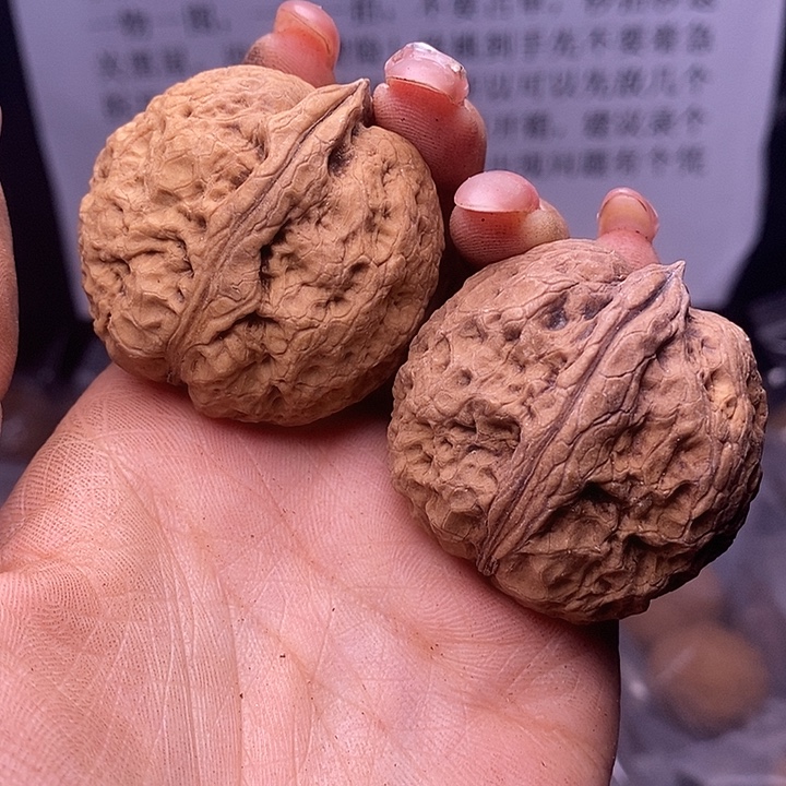 核桃云南野生铁核桃180号42mm