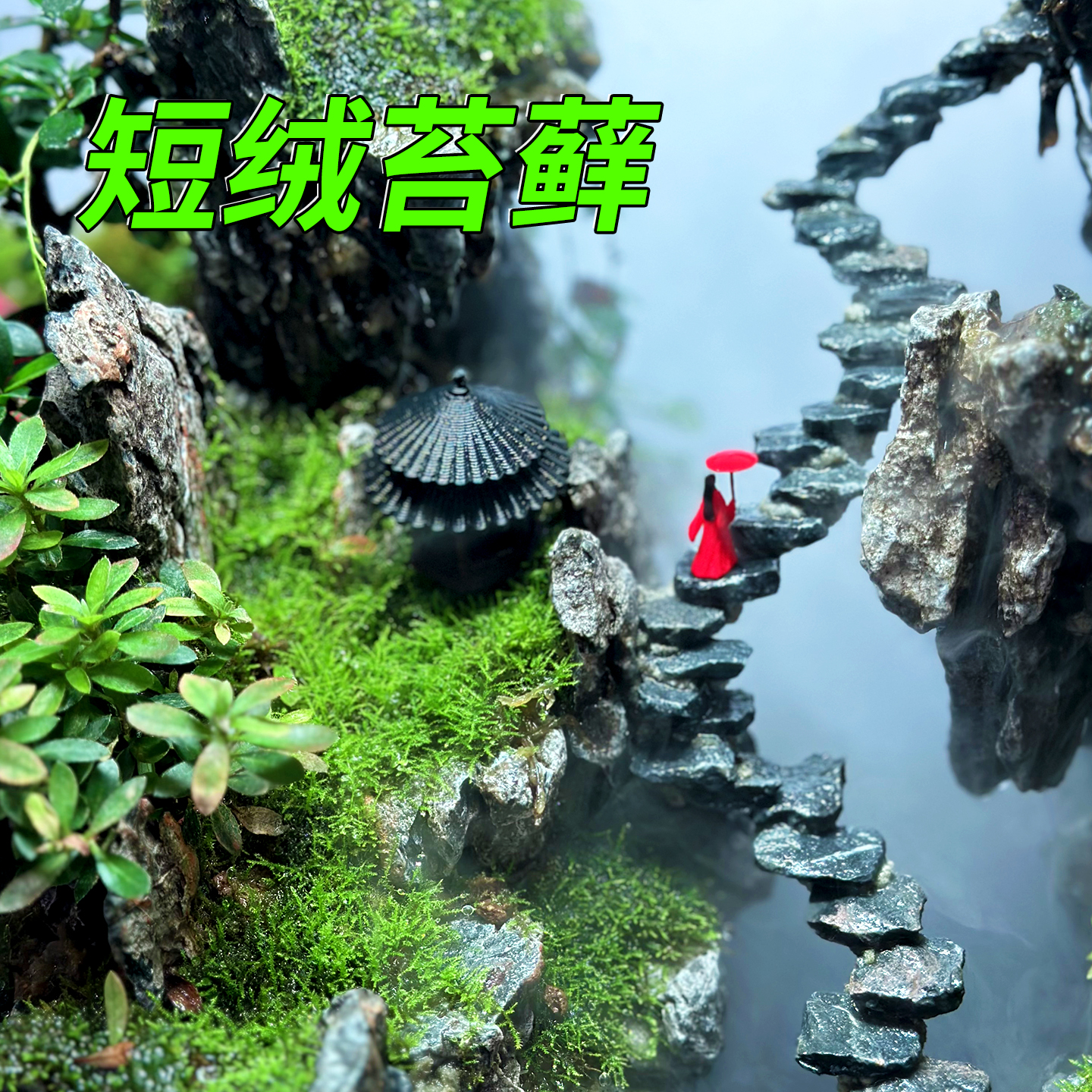 水陆缸雨林缸造景短绒苔藓干水苔鱼缸造景装饰真植物生态造景绿植