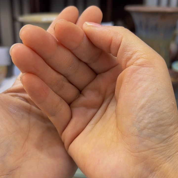 景德镇陶瓷研究所爱****）