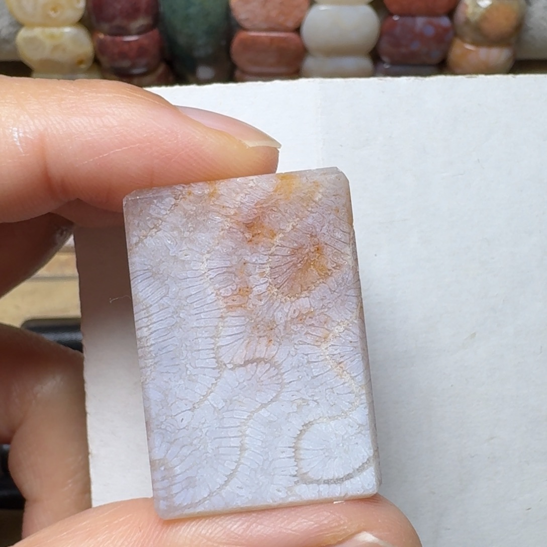 硅化玉白飘粉，胖龙骨纹未镶嵌