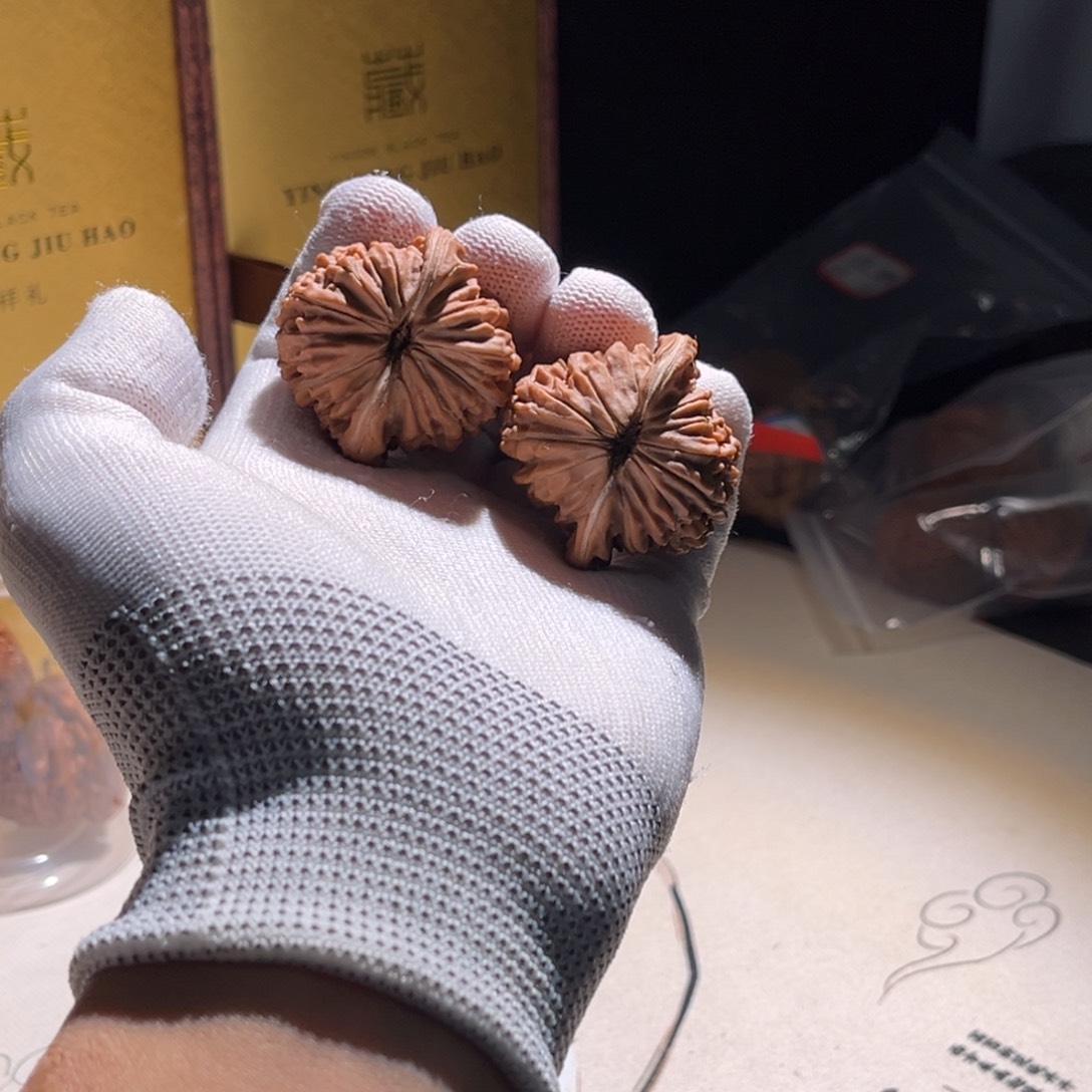 *****全品 42全品 楼子。