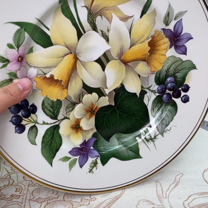 盘维多利亚欧洲中古