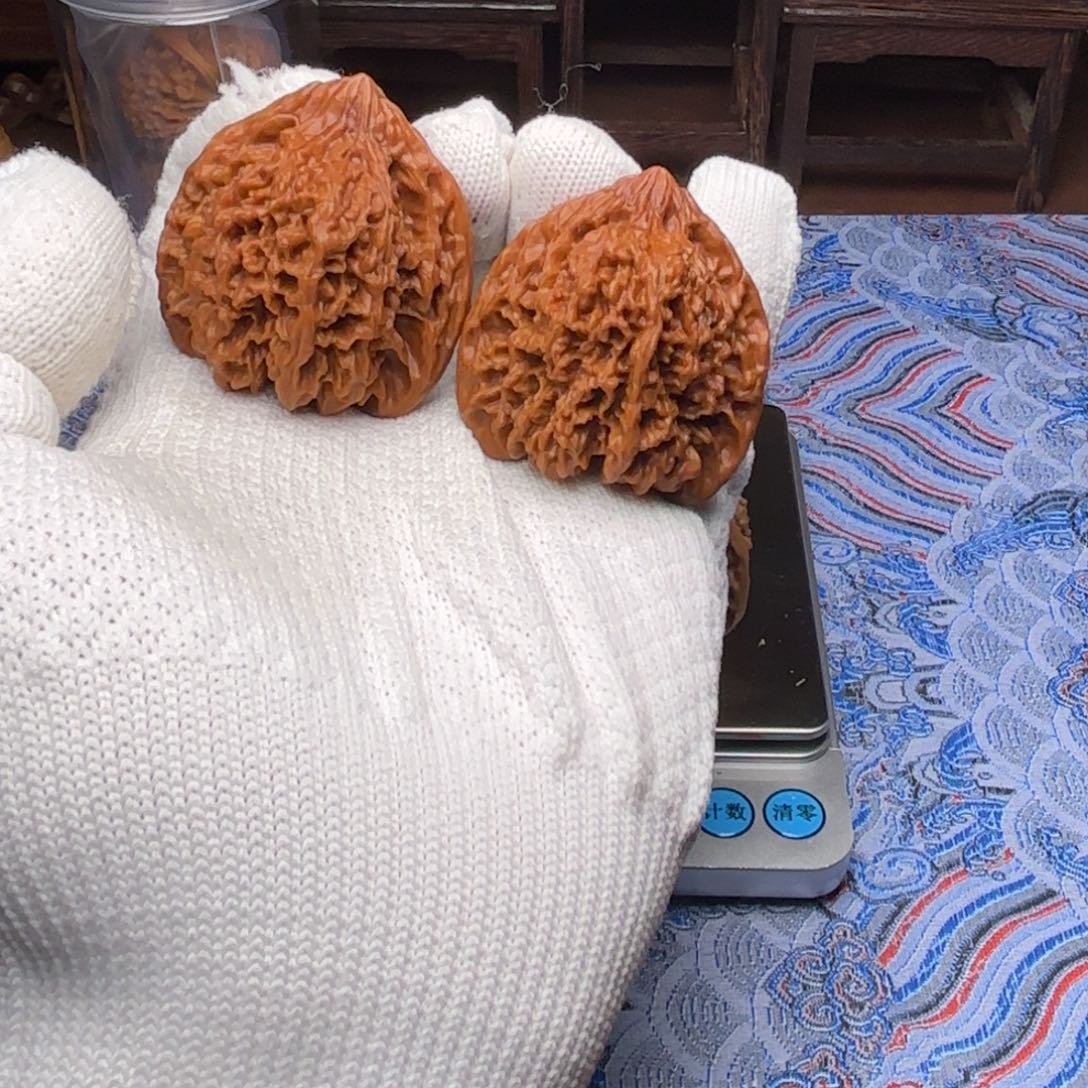 44全品无修正三角满天星