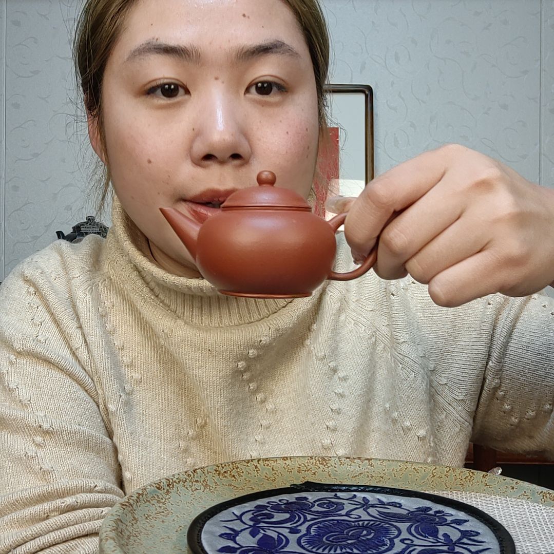 朱泥茶壶大红袍水平100毫升