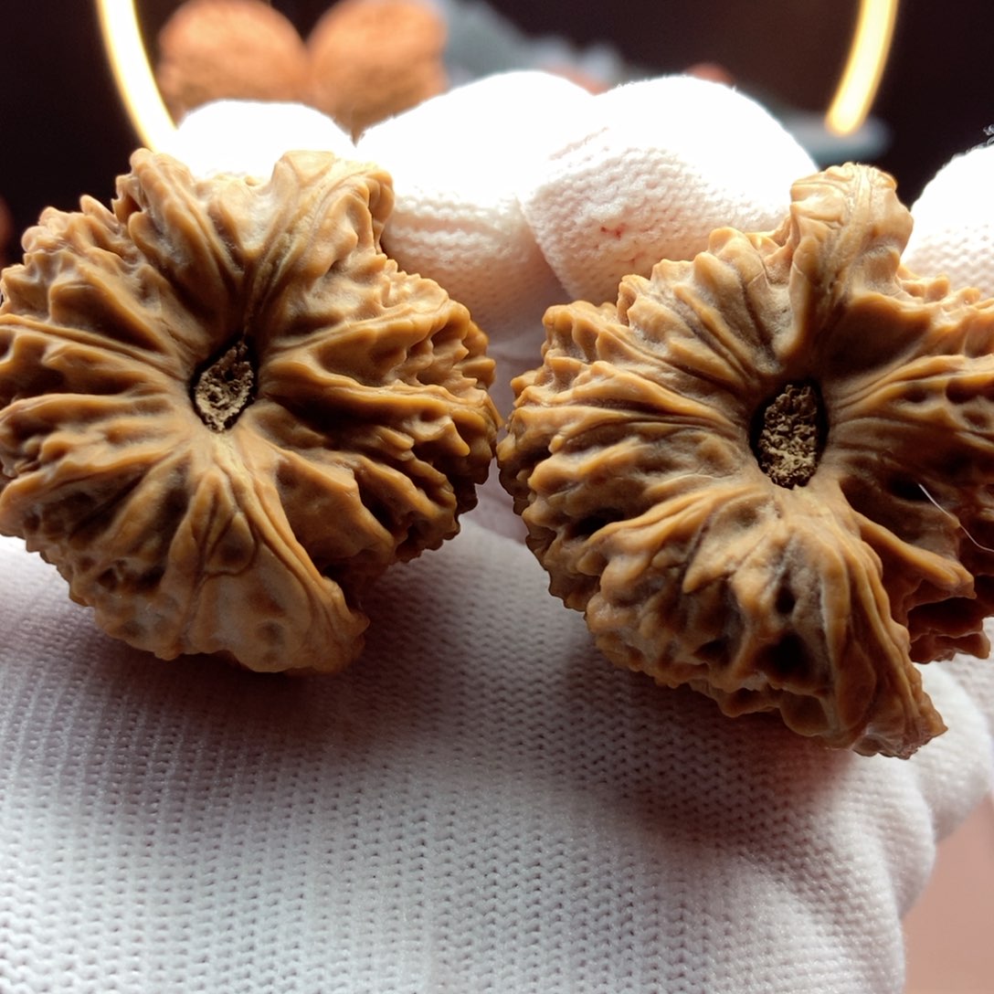 文玩核桃把件大卷卷大凹拉丝38.38.2.40.39.6克