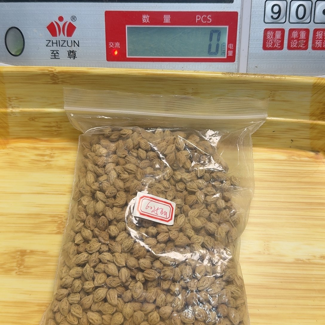 吊坠柏香籽/百香籽