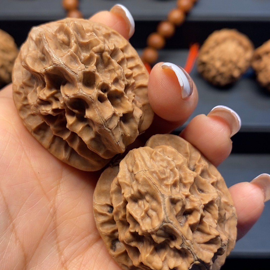 秦岭南风在哪里呀啊这就是