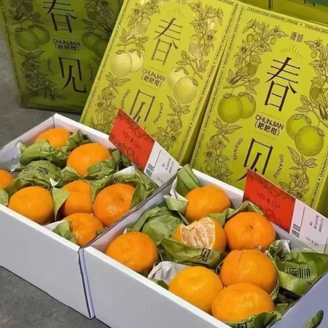 【军哥严选】“源心”春见粑粑柑净重6.5斤装
