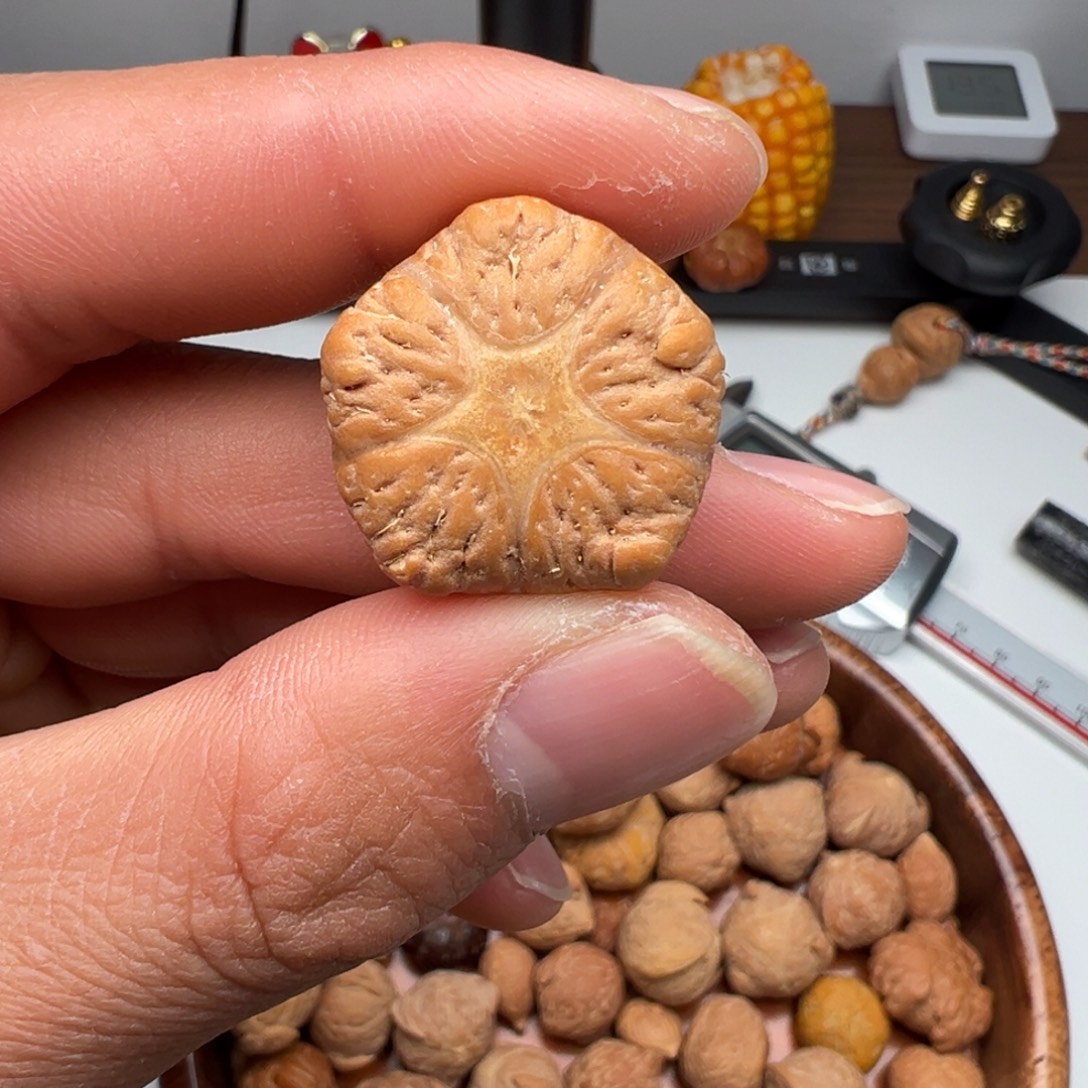 凤眼菩提吊坠五星