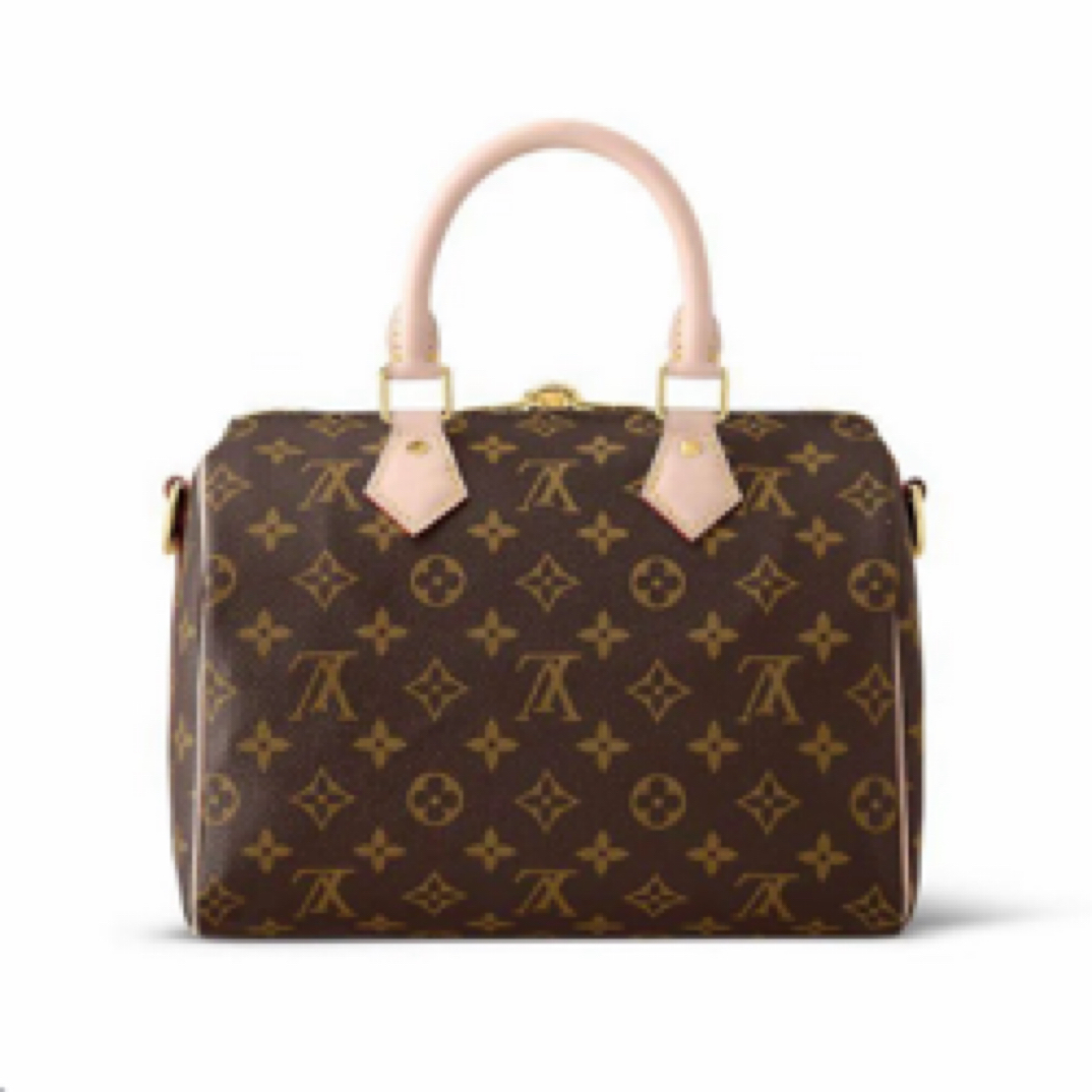 99新 LouisVuitton/路易威登 speedy25芯片款可调肩带波士顿