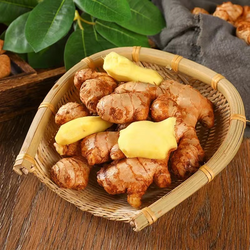 正宗云南现挖小黄姜新鲜农家自种老姜当季蔬菜