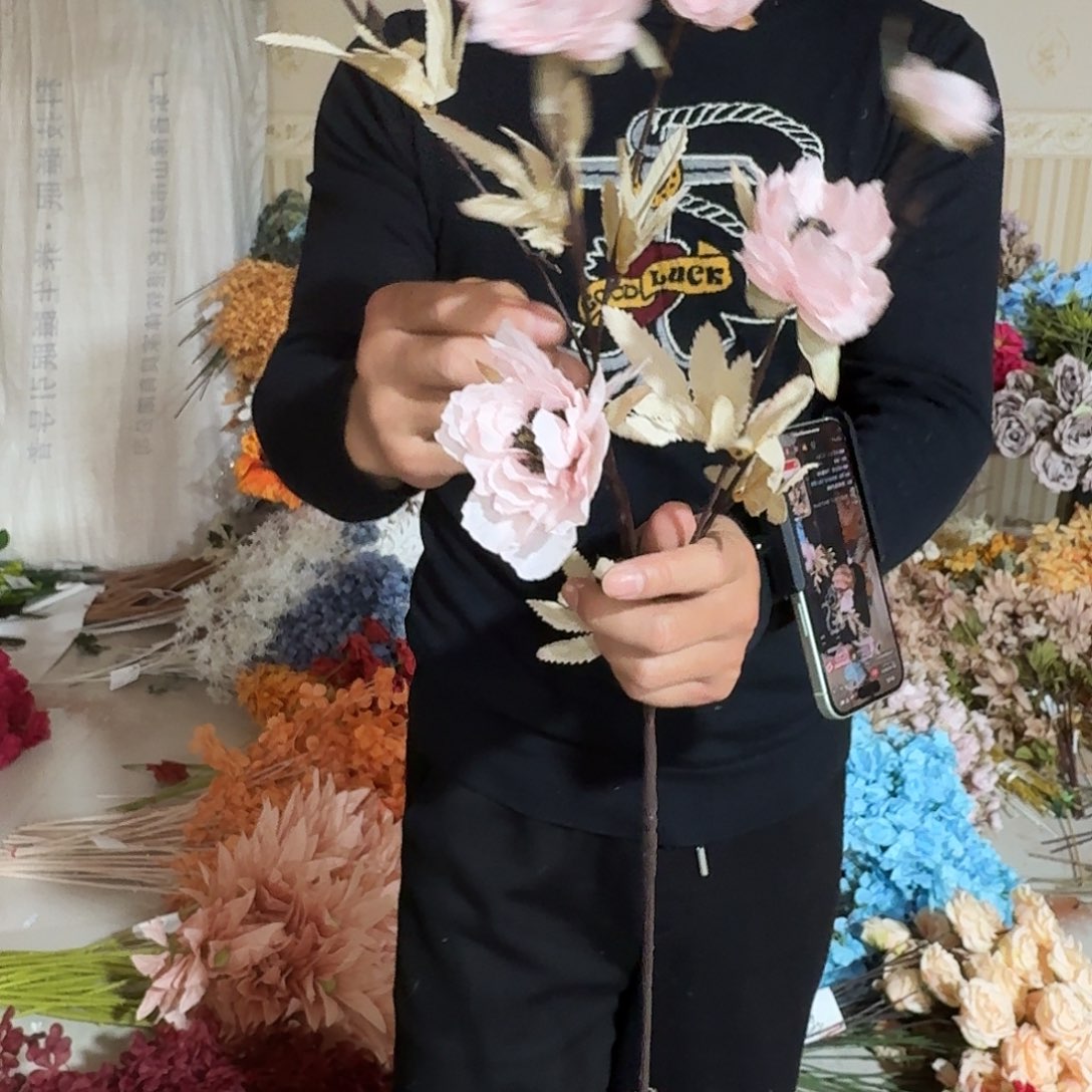 6头芙蓉粉20支装打包