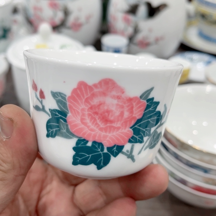 壶釉下五彩的瓷器和瓷器