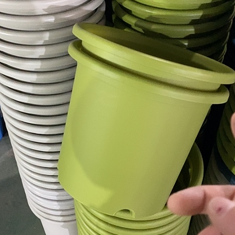 树脂特价6号7个无托果绿