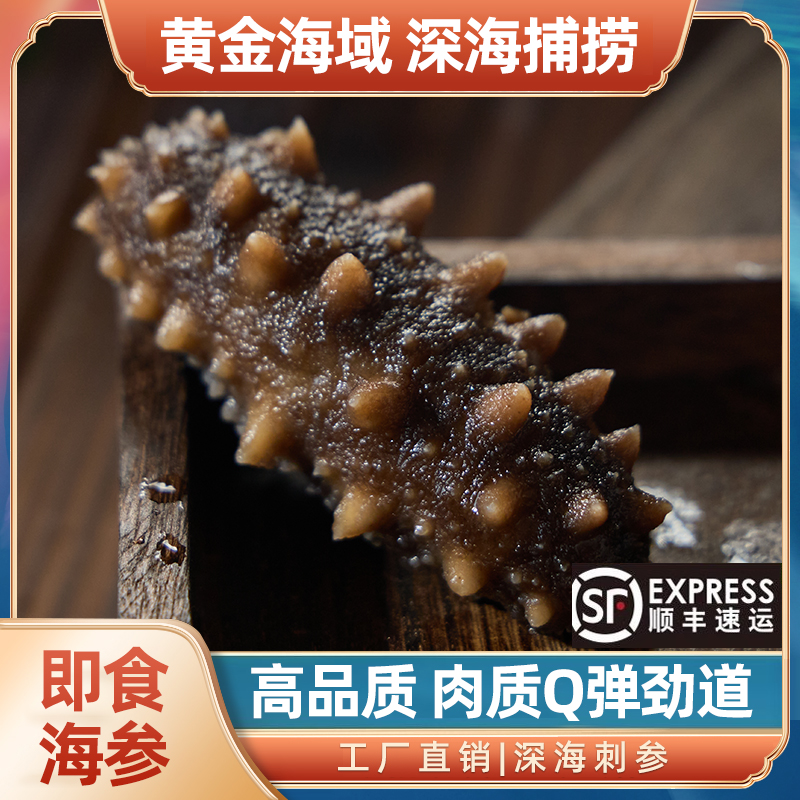 【年货节】免煮免泡发开袋即食鲜食海参高营养
