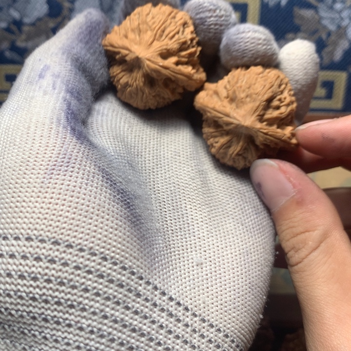 1***…哈哈哈哈哈哈哈哈哈哈