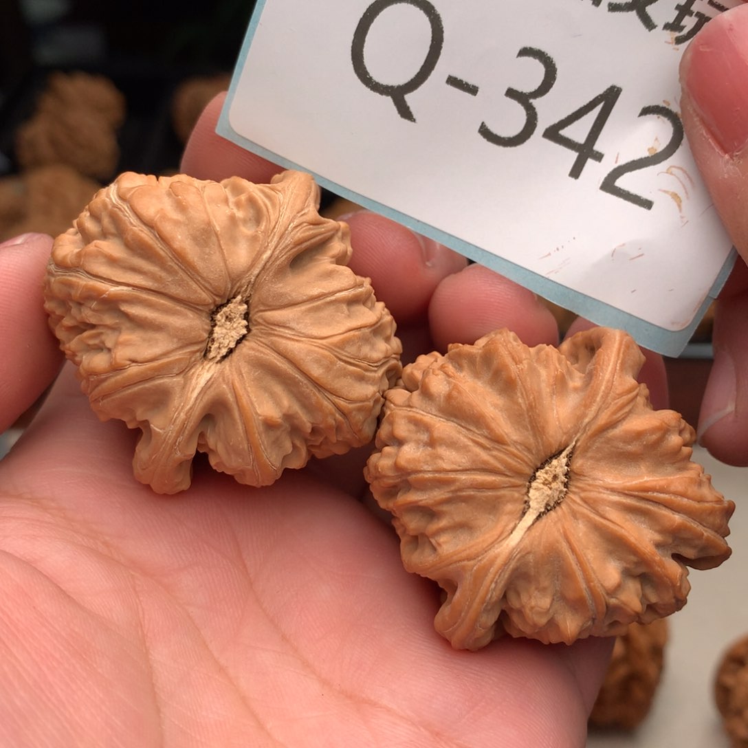 文玩核桃把件41球白…………