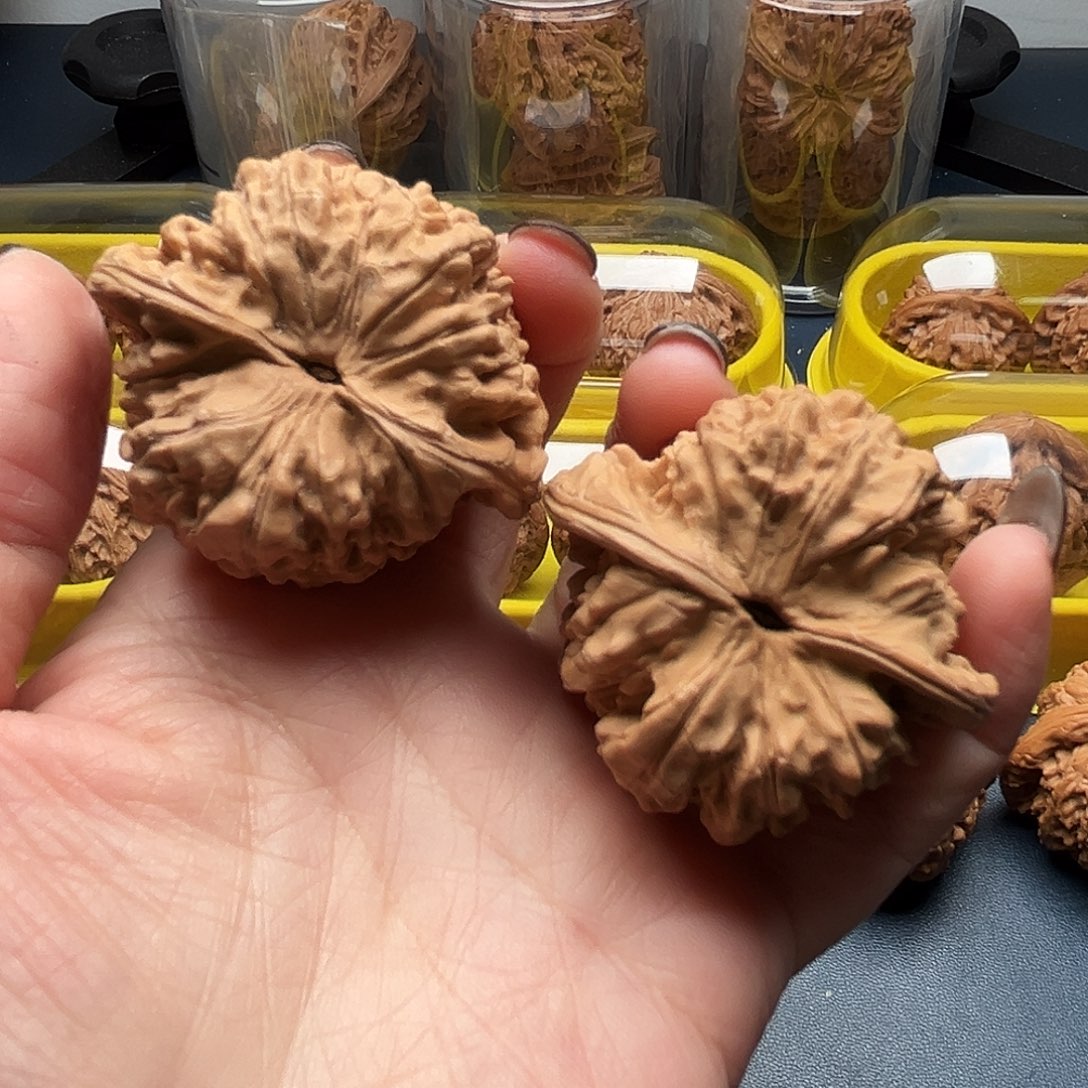 核桃46尺寸大官帽