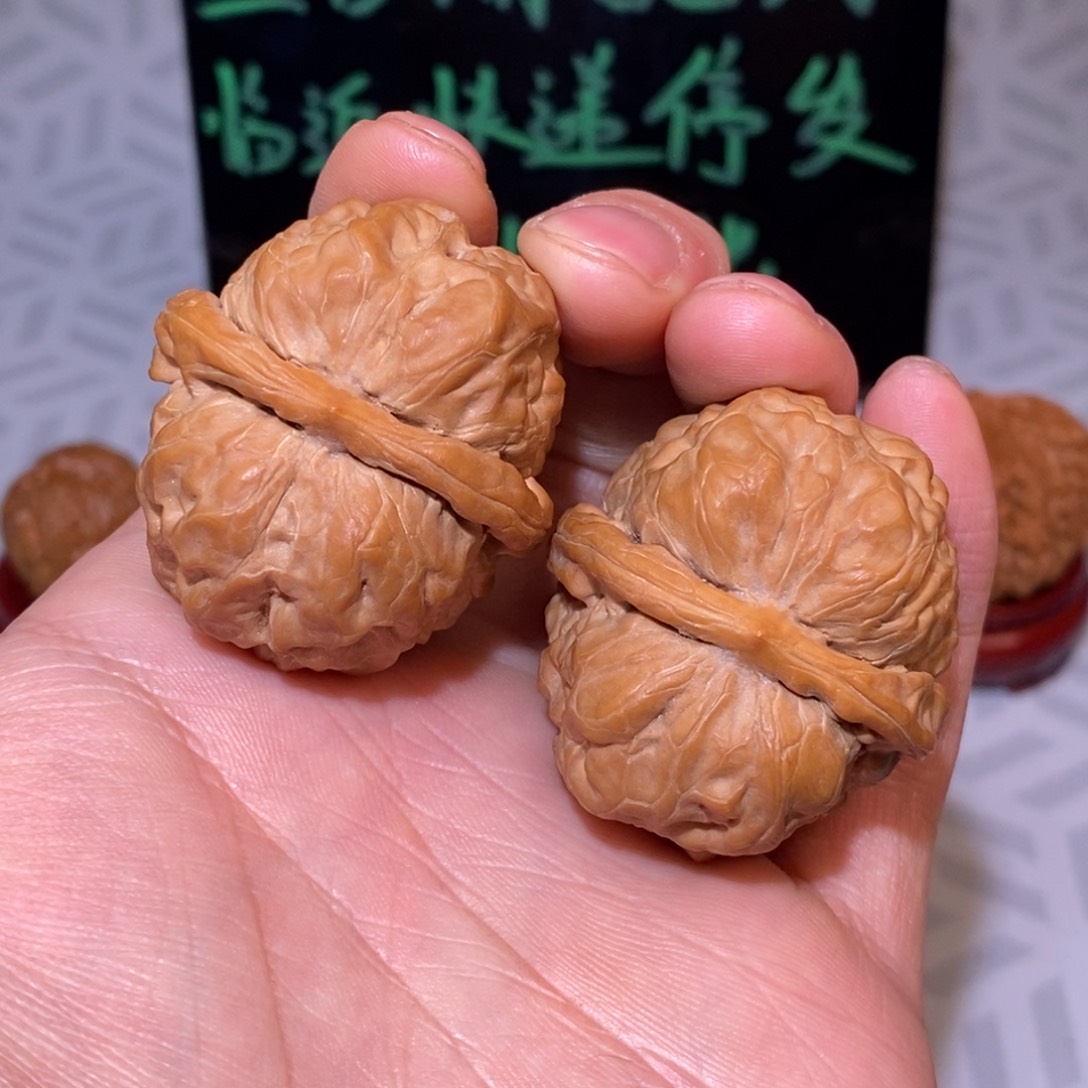 39尺蛤蟆头 精配对 肉蛙