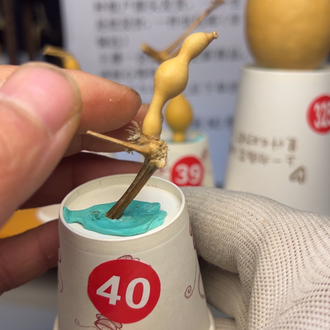 闪电购自助下单编号40