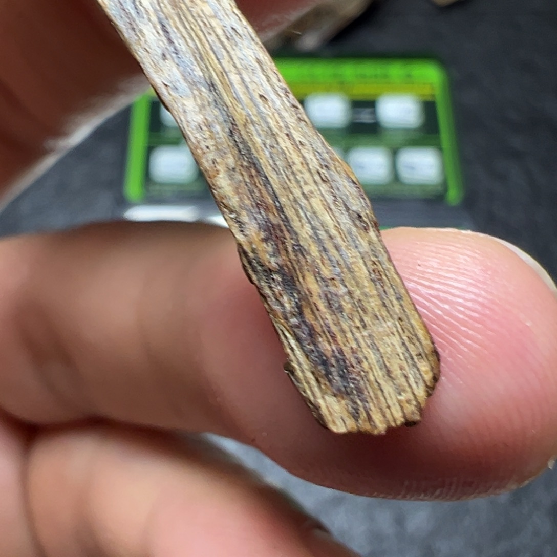 神****沉香碎屑沉香海南沉水土熟树壁0.37g