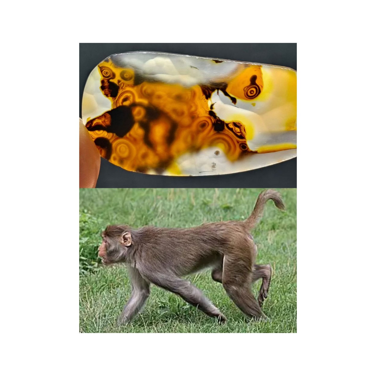 巴西海洋玉髓玛瑙草花象形纯天然吊坠风景男女水滴挂件山水意境画