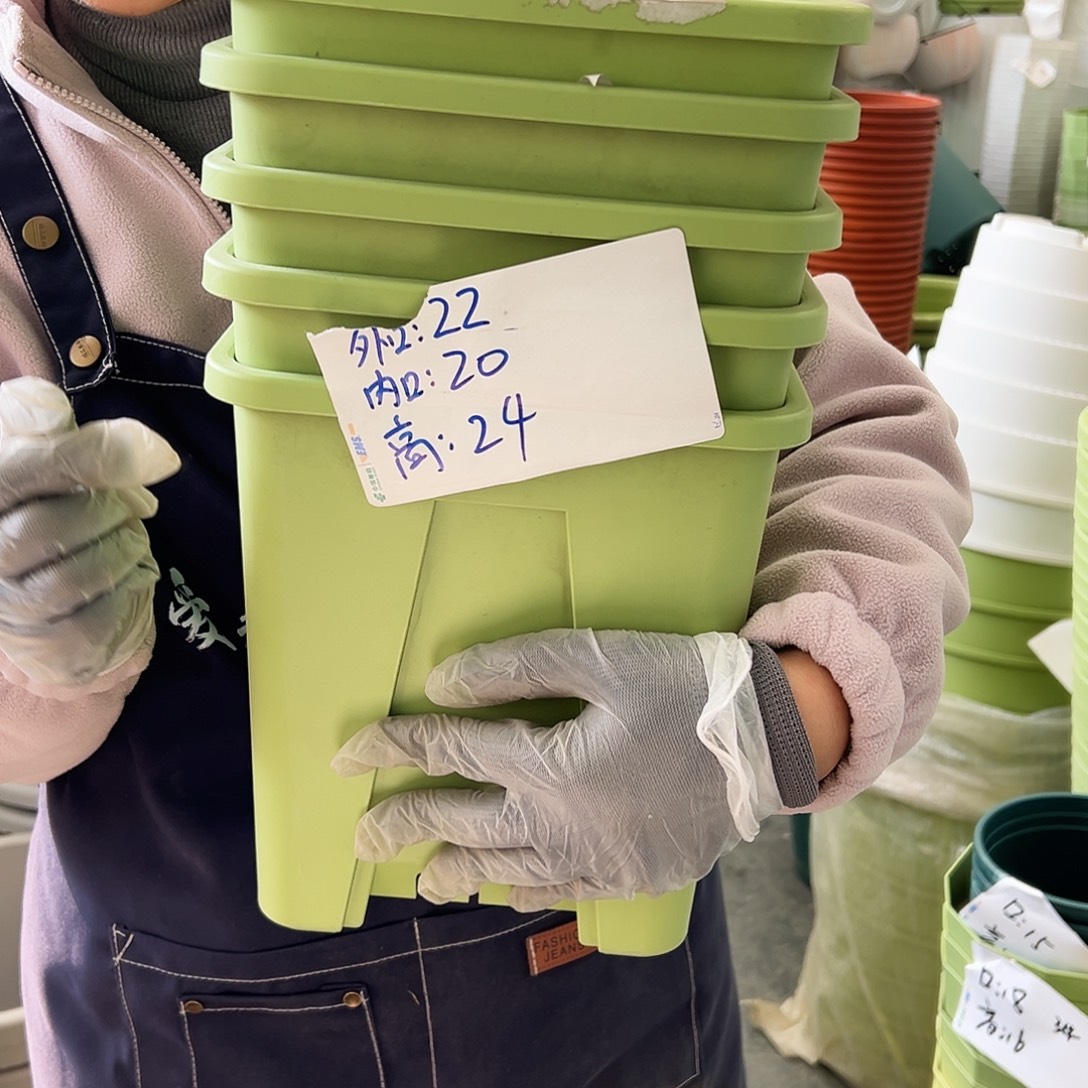 方盆F22#果绿色5个无托