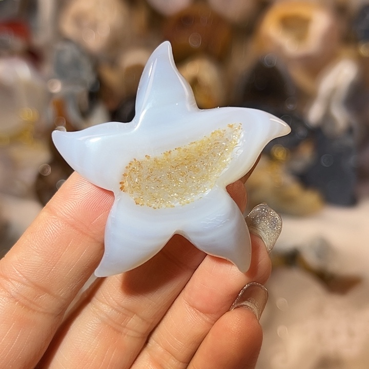 玛瑙/玉髓无未镶嵌海星