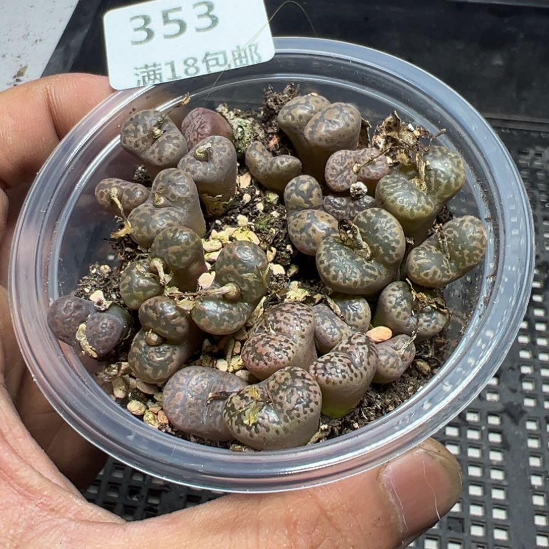 【闪购商品】 353。     