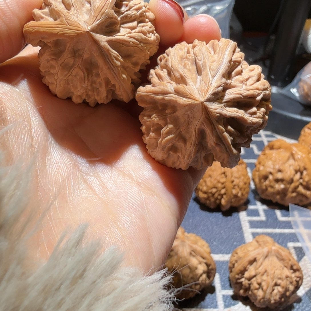 文玩核桃把件40御龙