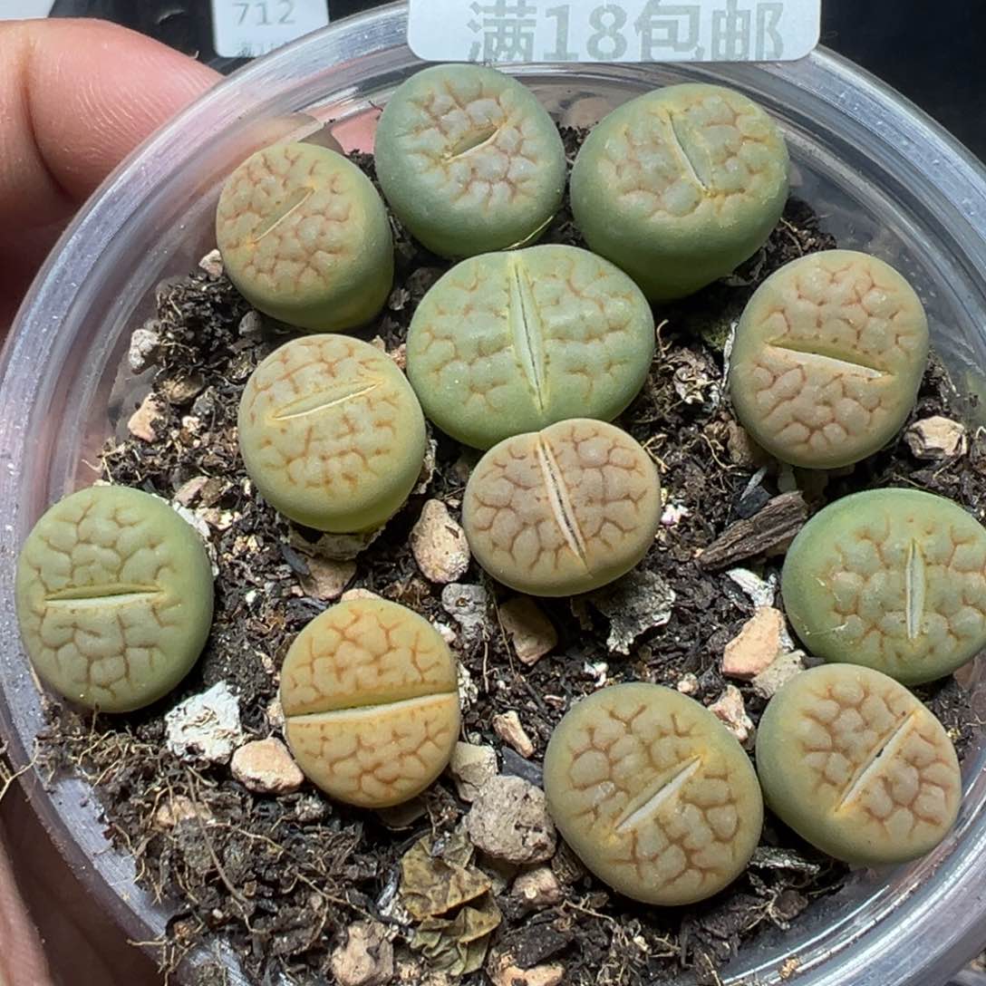 【闪购商品】 714。      
