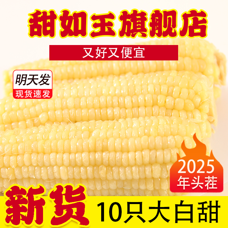 【25年新货】白玉米大果10只净重3500g 白甜糯玉米 黑龙江厂家直发