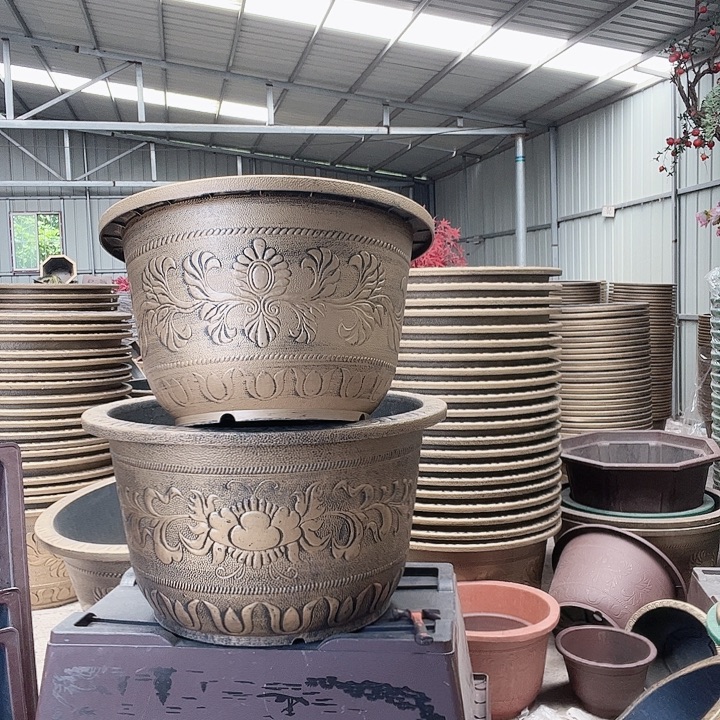 梅花照眼 依然旧风味