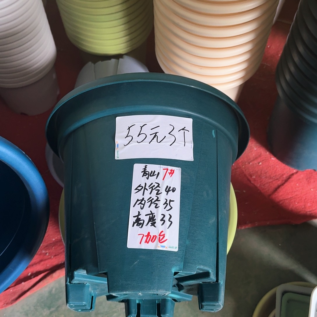 青山7号无拖5个微瑕