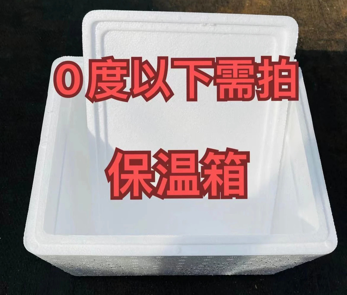 【月雅家 保温箱】0度以下北方寒冷拍 多肉植物可装6盆左右